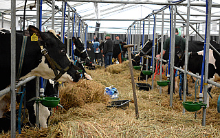 Tłumy podczas targów rolniczych Mazurskie Agro Show w Ostródzie